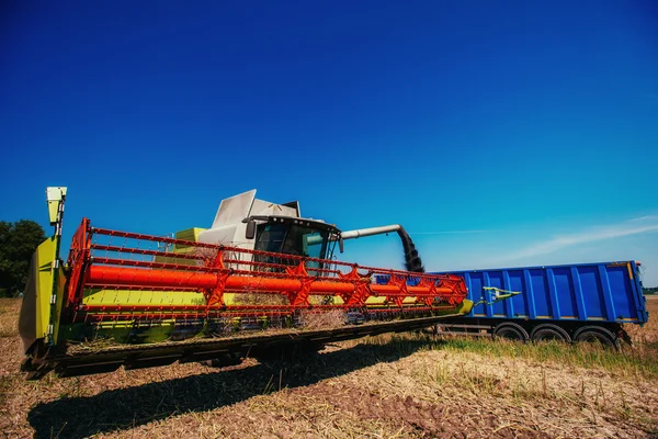 Lastbil och grävmaskin skörd av. — Stockfoto