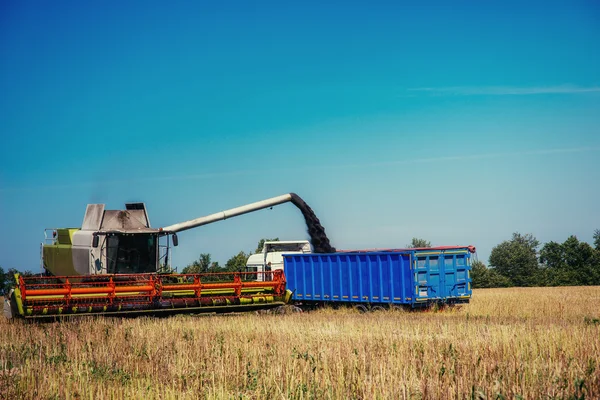 Truck and Excavator harvest off. — Stock Photo, Image