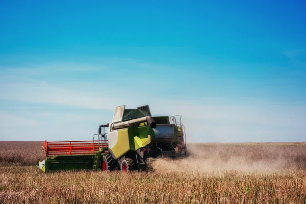 小麦の分野での作業収穫 — ストック写真