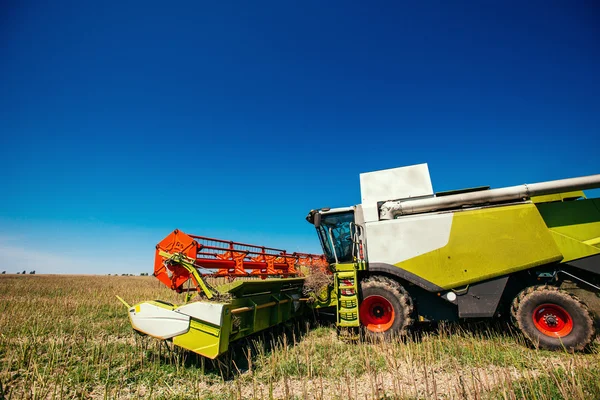 Colheita de trabalho Combine no campo de trigo — Fotografia de Stock