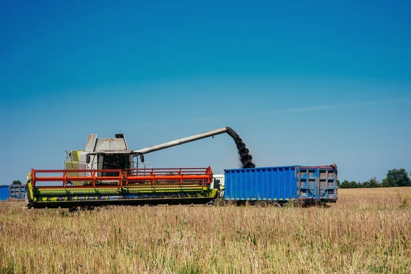 Raccolta di camion e escavatori . — Foto Stock