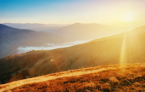 Podzimní alej. Karpaty. Ukrajina, Evropa — Stock fotografie