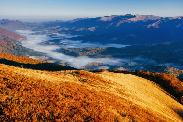 Niebla en las montañas de otoño. Cárpatos. Ucrania, Europa —  Fotos de Stock