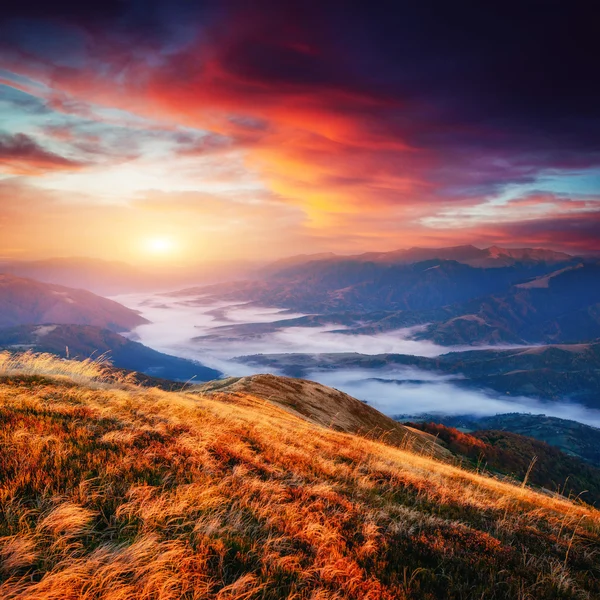 Pôr do sol mágico nas montanhas Ucrânia — Fotografia de Stock
