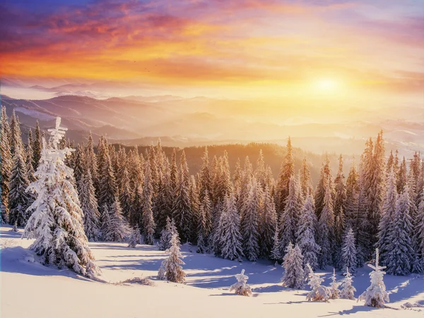 Nebel in den herbstlichen Bergen. Karpaten. Ukraine, Europa — Stockfoto