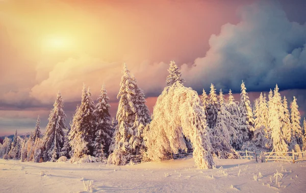 ดวงอาทิตย์ตกในภูเขาฤดูหนาว — ภาพถ่ายสต็อก