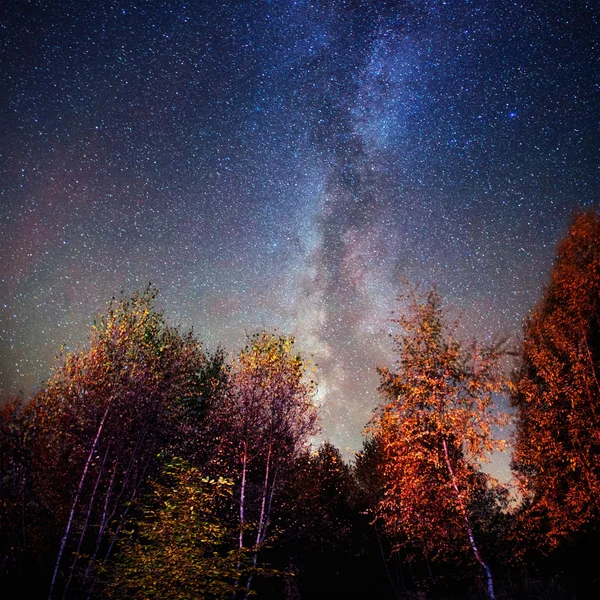 Céu estrelado. Cárpatos. Ucrânia, Europa — Fotografia de Stock