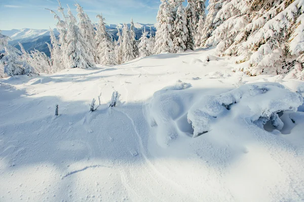 Inverno paisagem árvores snowbound — Fotografia de Stock