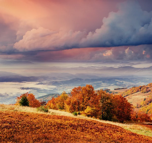 Rock massif in the Carpathians. Royalty Free Stock Images