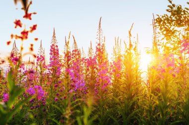 Kış yol. Ukrayna, Europe