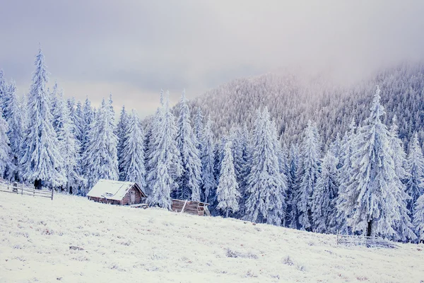 Srub v horách v zimě — Stock fotografie