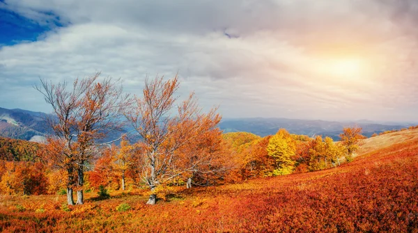 Vaggamassiv i Karpaterna. — Stockfoto