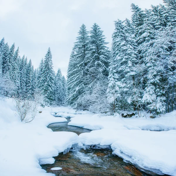 Река в лесу зимой — стоковое фото