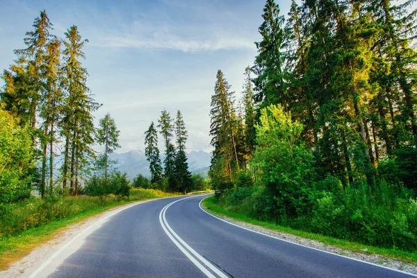 Yol ormandan dağlara gidiyor. — Stok fotoğraf