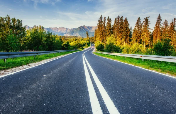 El camino conduce a través del bosque a las montañas — Foto de Stock