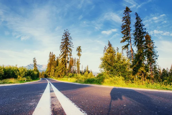 Yol ormandan dağlara gidiyor. — Stok fotoğraf