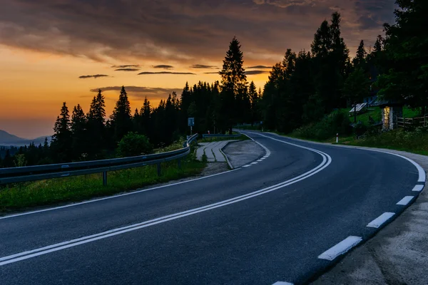 Yol ormandan dağlara gidiyor. — Stok fotoğraf