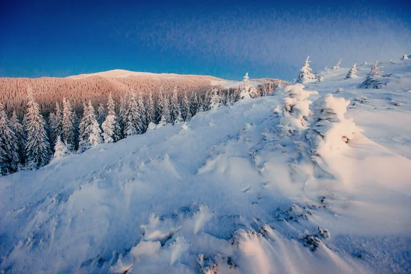 Волшебное зимнее заснеженное дерево — стоковое фото