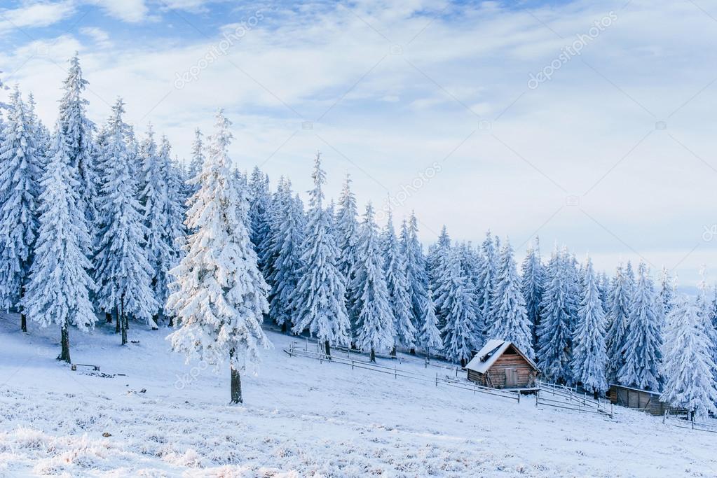 cabin in the mountains in winter 