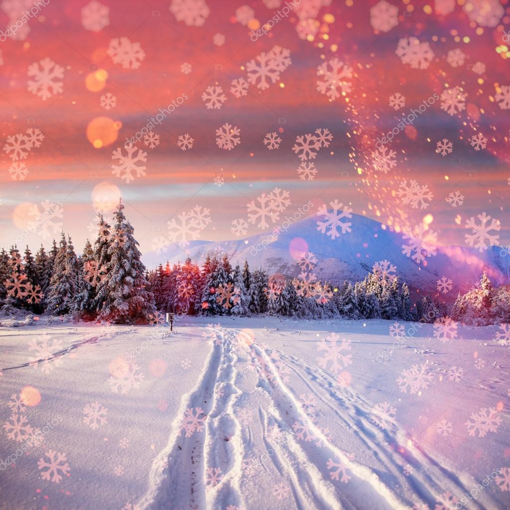 Strada Di Inverno Illustrazione Di Alta Risoluzione Di