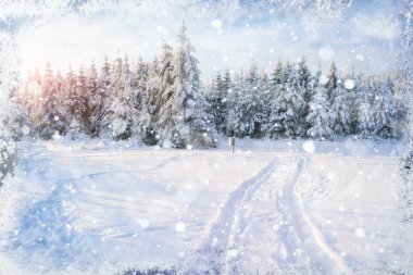 Kış yol. Güzel renk yüksek çözünürlüklü resimde bir holida ile