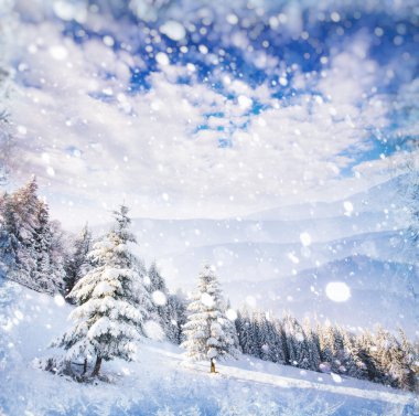 kış manzara ağaçlar ve çit içinde hoarfrost, arka plan ile s