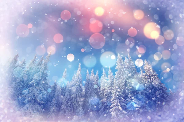 Winter landscape trees snowbound, bokeh background with snowflak — Stock Photo, Image