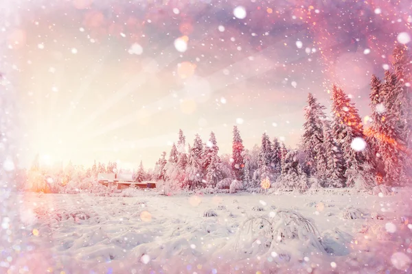 Zimą wspaniałe krajobrazu w górach, tło z som — Zdjęcie stockowe