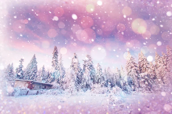 Zimowy krajobraz drzew śniegiem, tło bokeh z snowflak — Zdjęcie stockowe