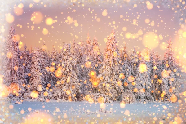 Zimní krajina stromy dobře, bokeh pozadí s snowflak — Stock fotografie