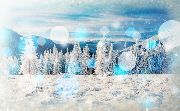 Zimowy krajobraz drzew śniegiem, tło bokeh z snowflak — Zdjęcie stockowe
