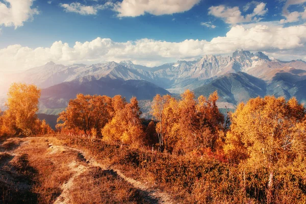 Herfst landschap en besneeuwde bergtoppen. Weergave van het mou — Stockfoto