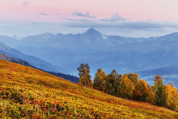 Kouzelná podzimní krajina a zasněženými vrcholky. Pohled na t — Stock fotografie