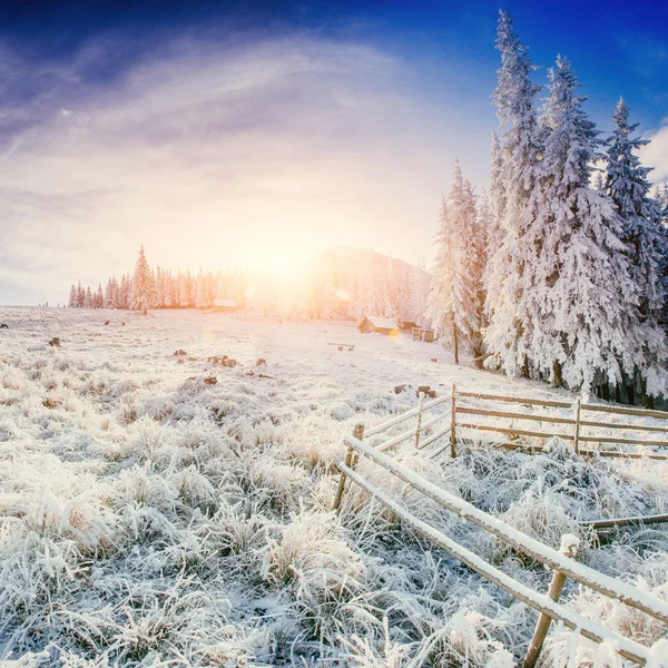 Cabine nas montanhas no inverno — Fotografia de Stock