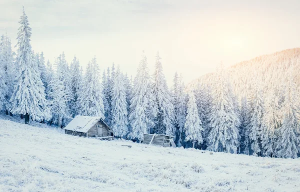 Καμπίνα στα βουνά το χειμώνα — Φωτογραφία Αρχείου