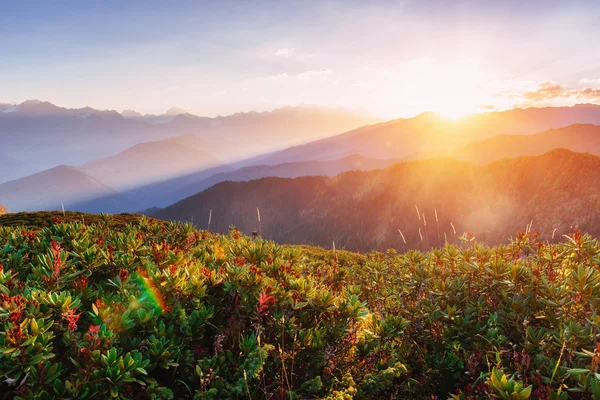 Herbstlandschaft und schneebedeckte Berggipfel. Blick auf das Mou — Stockfoto