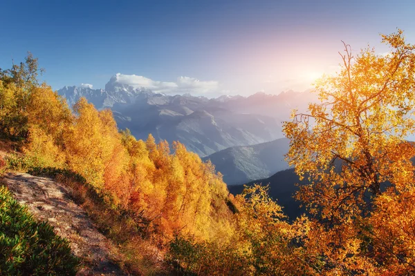 Herbstlandschaft und schneebedeckte Berggipfel. Blick auf das Mou — Stockfoto