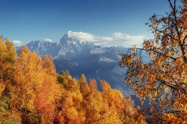 Sonbahar manzara ve karla kaplı dağ zirveleri. Mou görünümünü — Stok fotoğraf