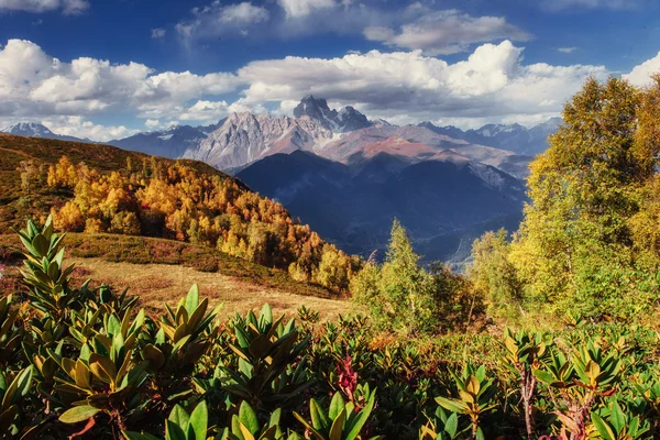 Kouzelná podzimní krajina a zasněženými vrcholky. Pohled na t — Stock fotografie