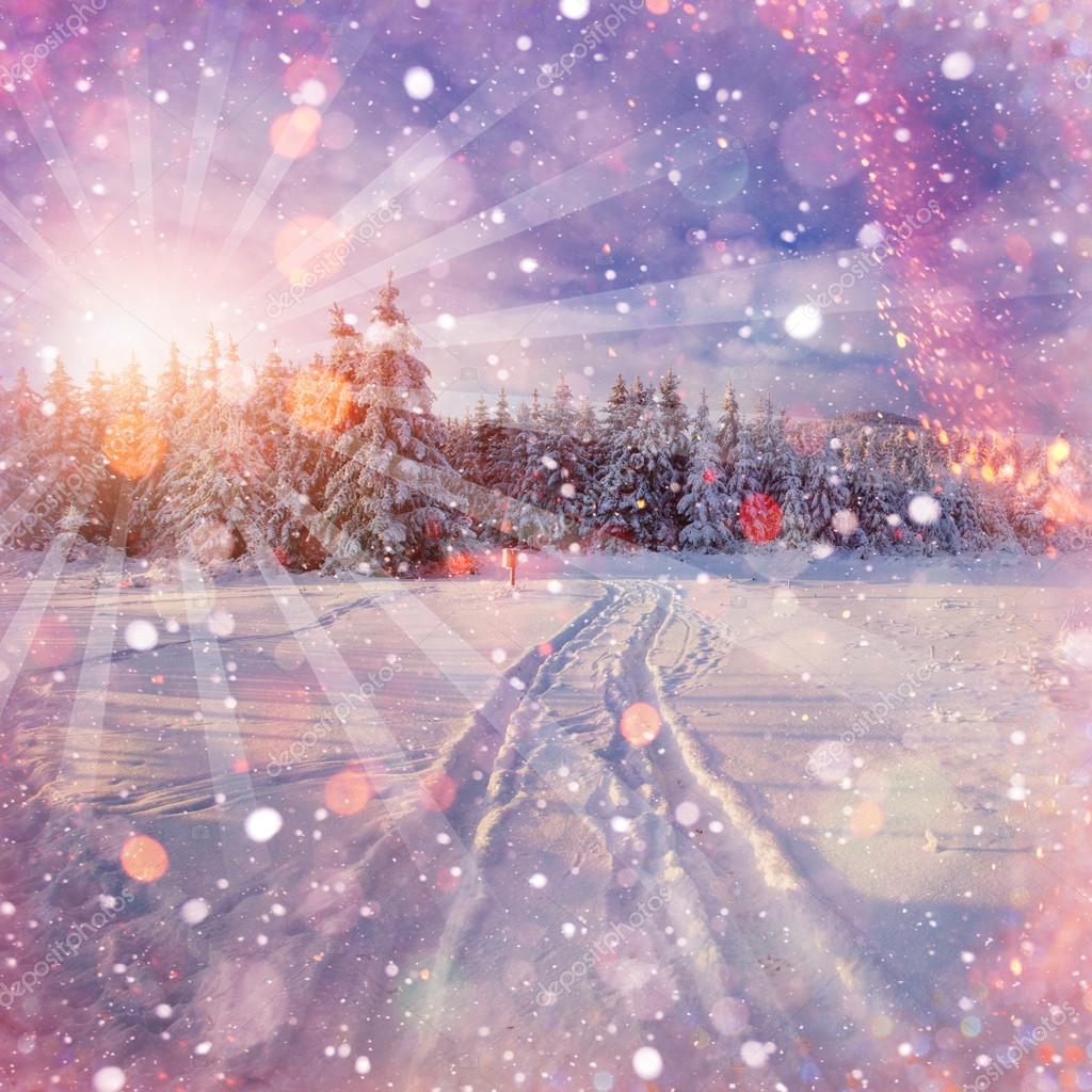 Strada Di Inverno Illustrazione Di Alta Risoluzione Di