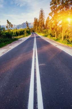 Yolun ormanın içinden dağlara günbatımında açar.