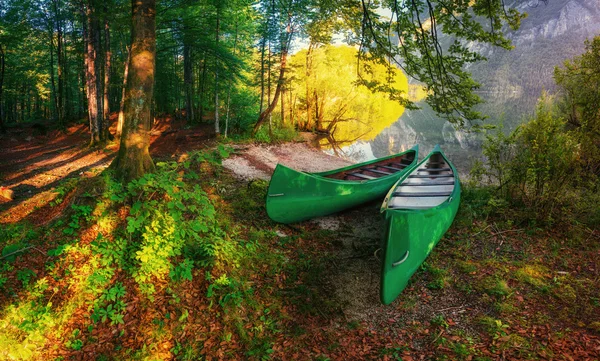 Boats are in the woods near the water — Stock Photo, Image