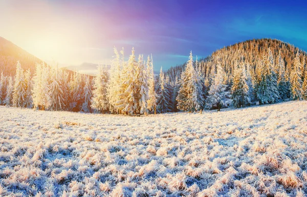 Paisaje invernal resplandeciente por la luz solar. Escena invernal dramática. Coche — Foto de Stock