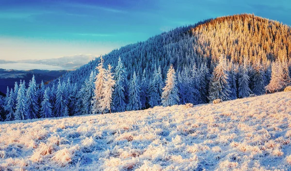 Winterlandschaft, die vom Sonnenlicht erleuchtet wird. Dramatische winterliche Szene. Auto — Stockfoto