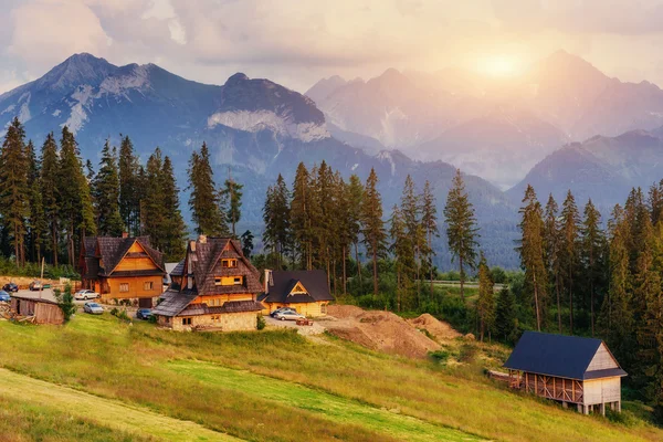 Traditionelles Holzhaus in den Bergen auf einer grünen Wiese — Stockfoto