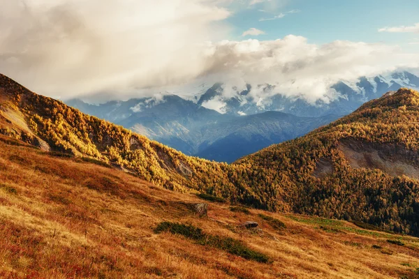 Dikke mist op de bergpas Goulet. Georgië, Svaneti. Europa. — Stockfoto