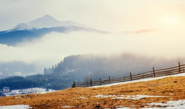 Poslední dny zimy v horách Ukrajiny, hustá mlha. — Stock fotografie
