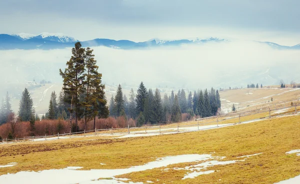 Začátek jara v horách. Karpaty. Ukrajina. — Stock fotografie