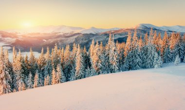 Kış Dağları'nda sis. Fantastik günbatımı. Karpatlar. Ukrayna.