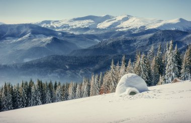 Kış sis dağlar yurt. Karpat, Ukrayna, Europe.